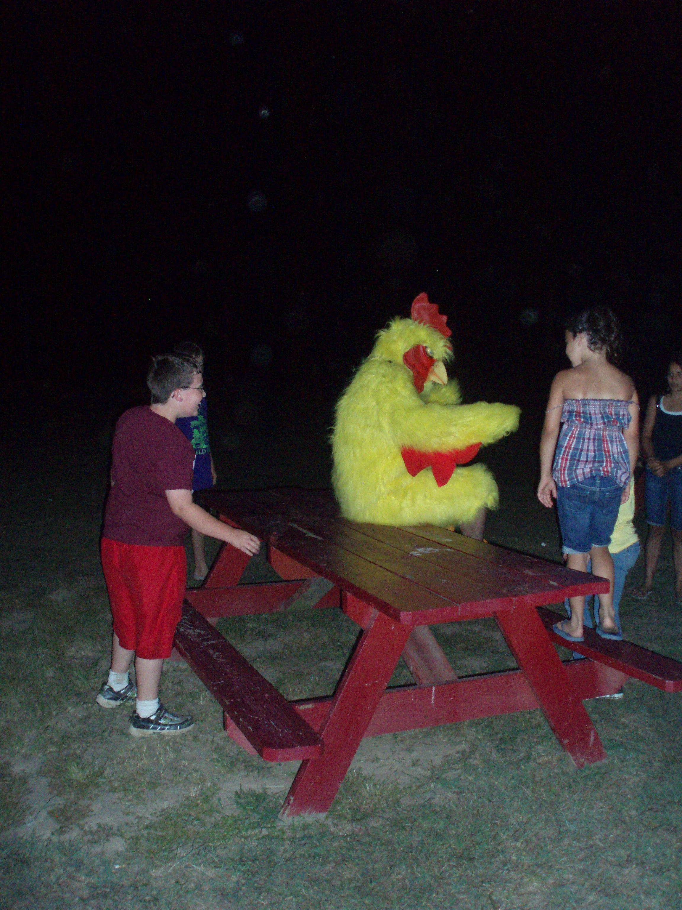 The Giant Chicken Spotters